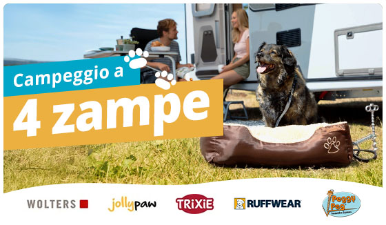 Accessori per cani