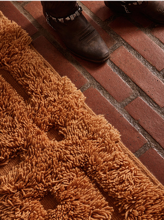 Shaggy orange rug