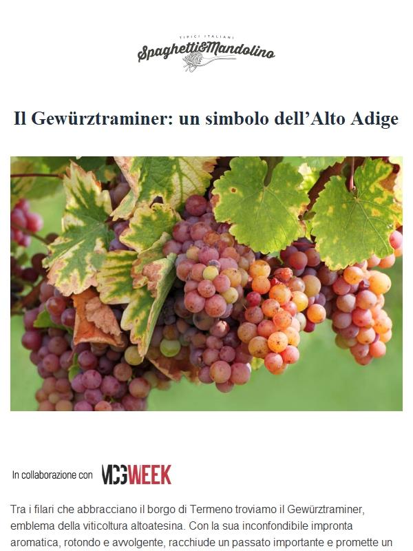 🍷L'alto Adige nel calice! Pronto a scoprire l’anima del vino di montagna?