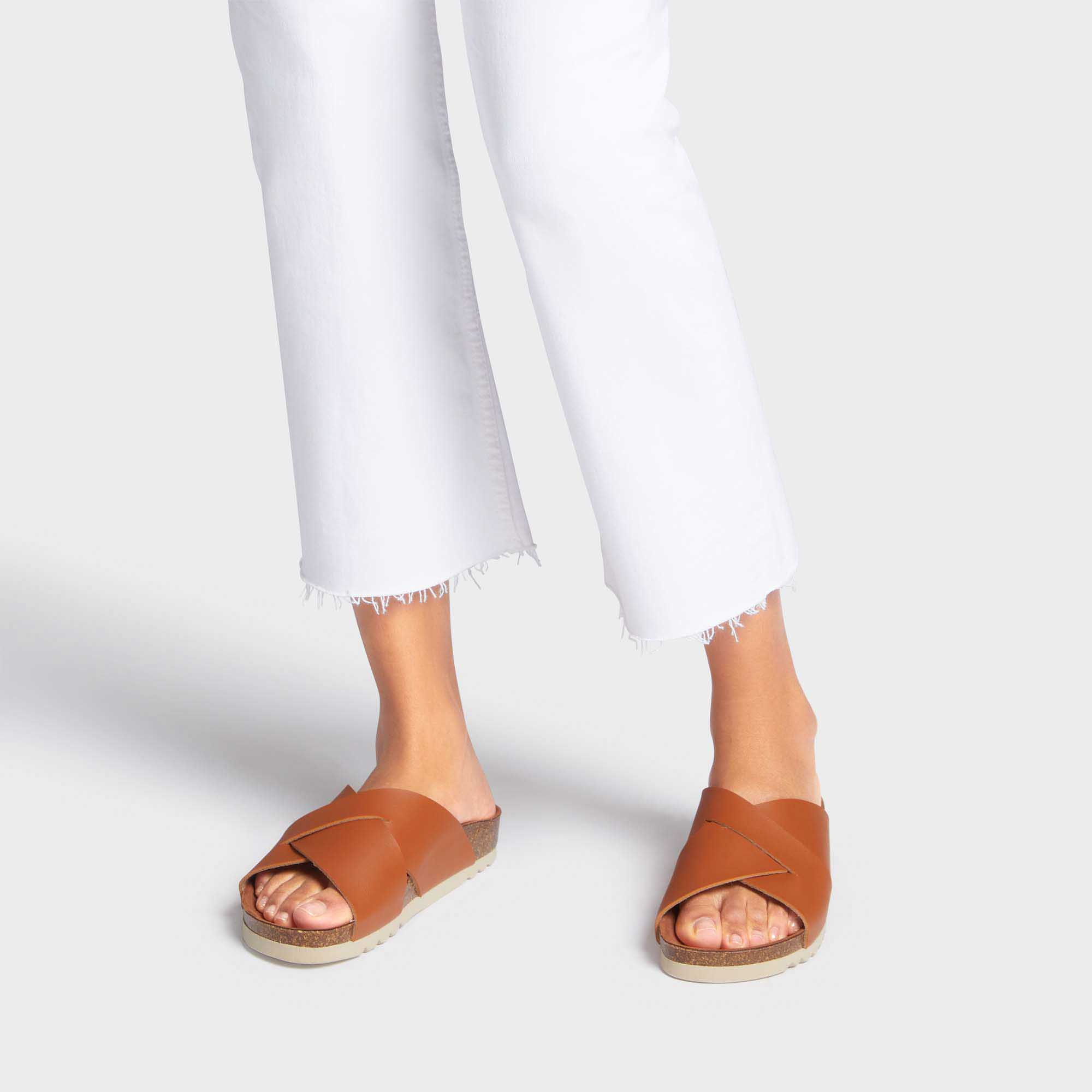 SCHOLL N21