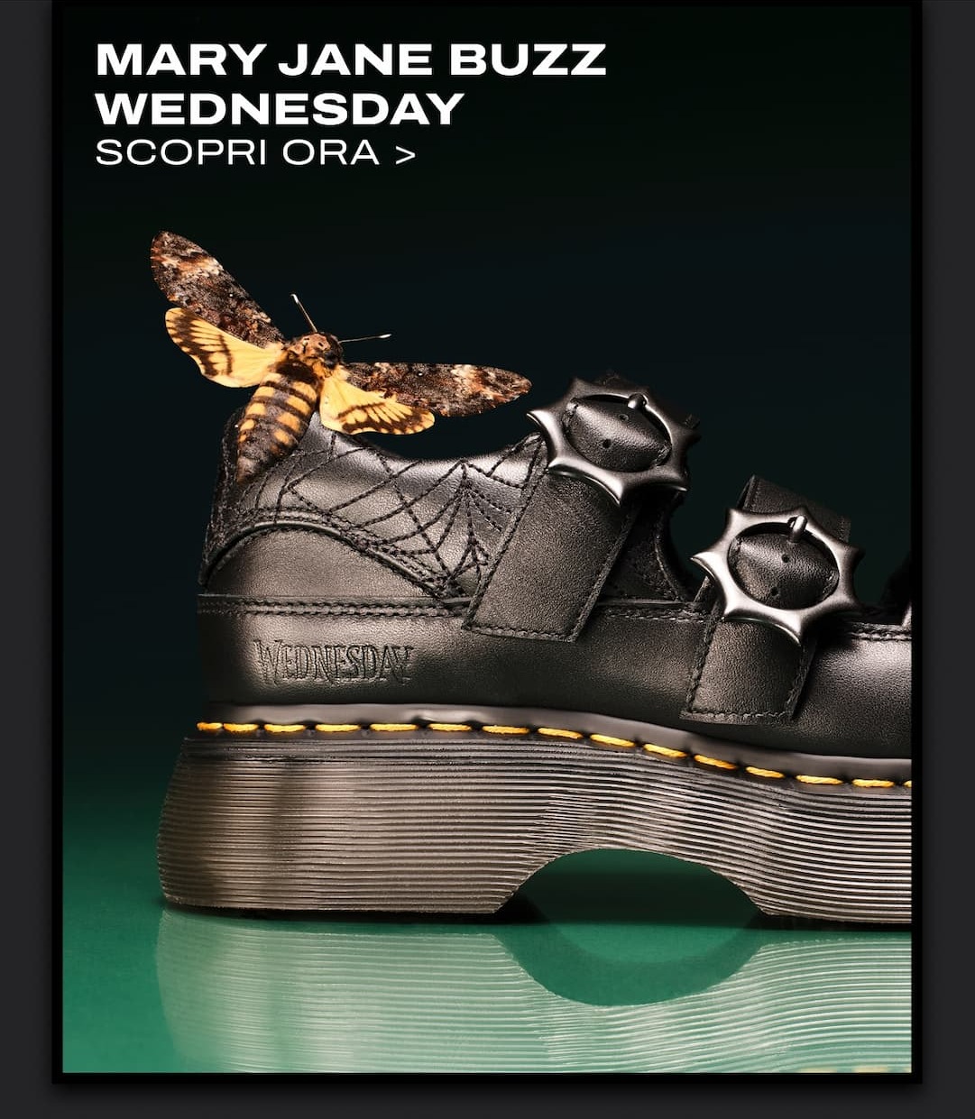 DM’S x WEDNESDAY