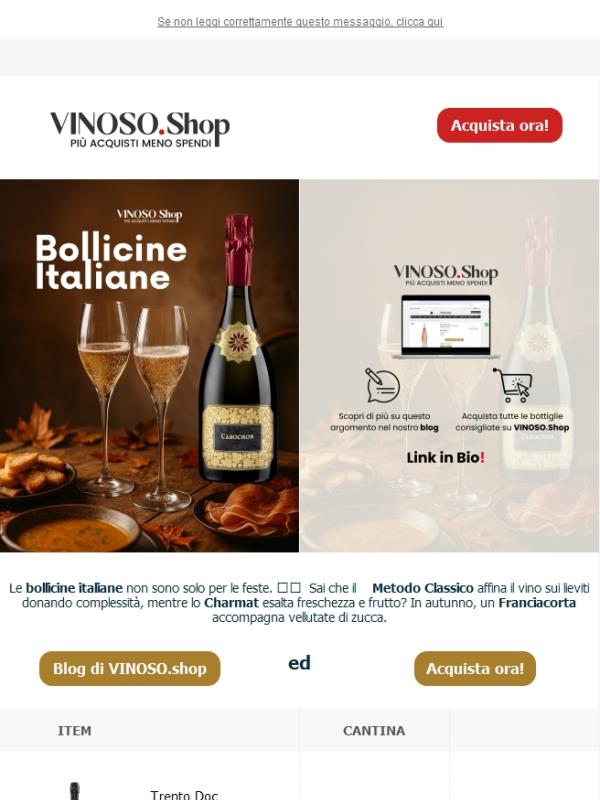 🥂 Le bollicine italiane non sono solo per le feste | VINOSO
