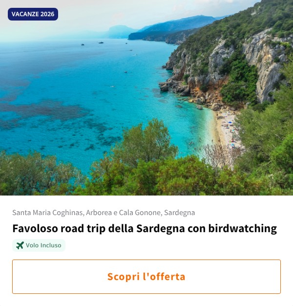 Favoloso road trip della Sardegna con birdwatching