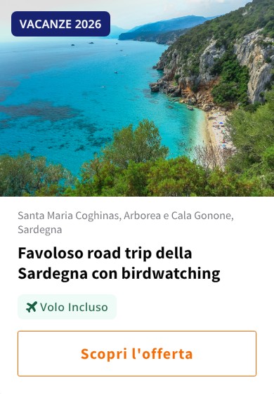 Favoloso road trip della Sardegna con birdwatching