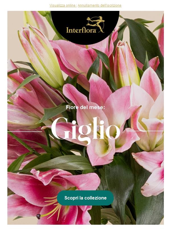 Il giglio: grazia e nobiltà che sbocciano anche d'autunno