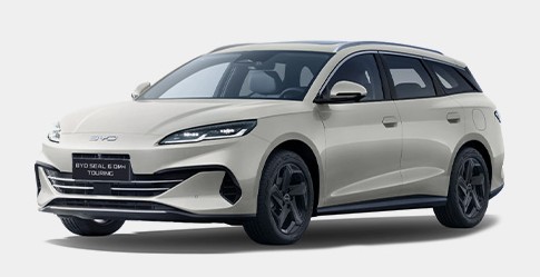 BYD 6