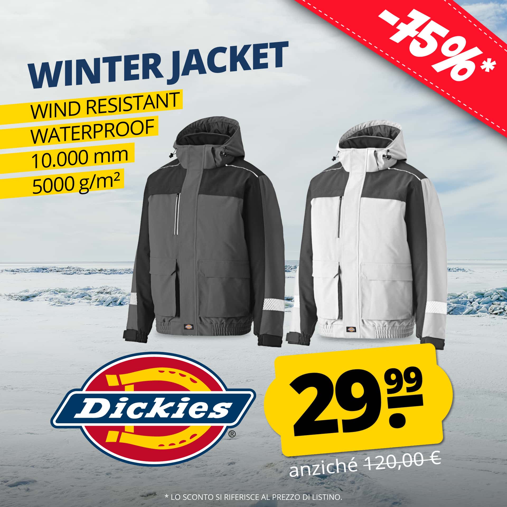 Dickies winter jacket