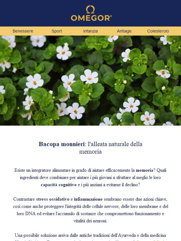 🧠 Bacopa monnieri: l’alleata naturale della memoria