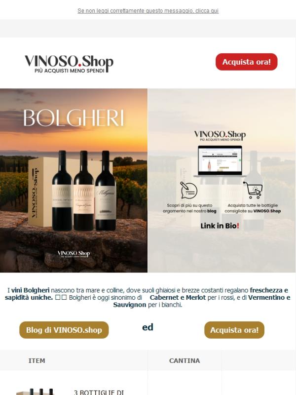 🍷🌊 I Vini Bolgheri: freschezza e sapidità uniche | VINOSO