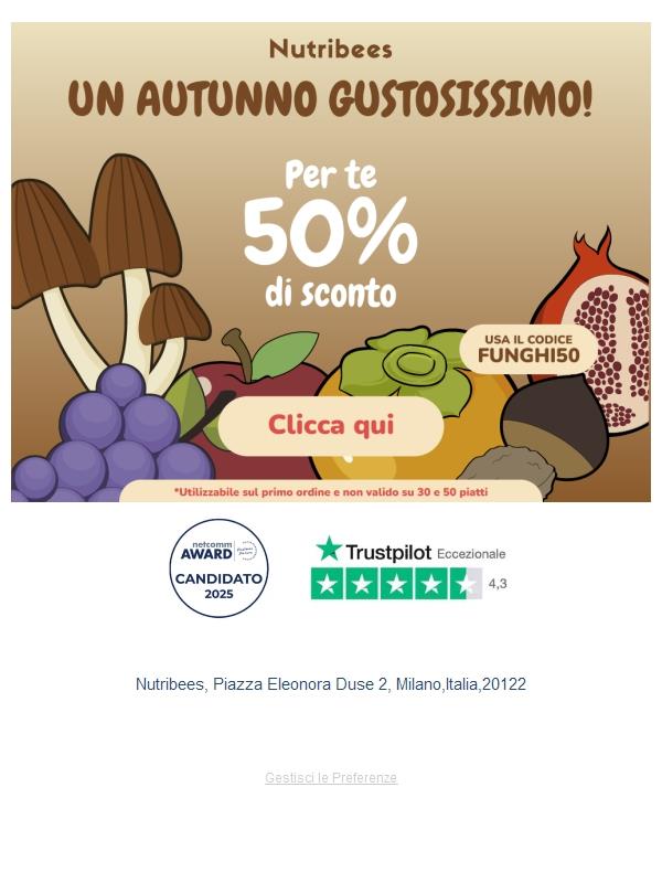 Ultime 6 Ore: tutto a metà prezzo🥳