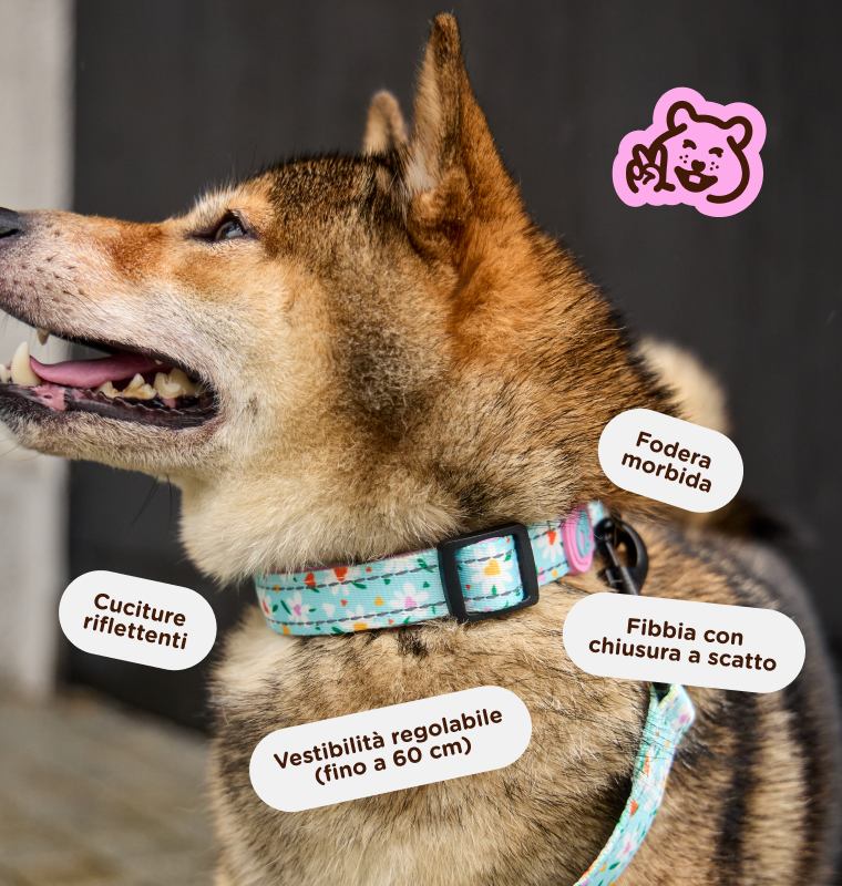  Collari per cani da 9,99 €