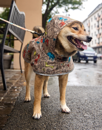 Impermeabili per cani da 21,99 €