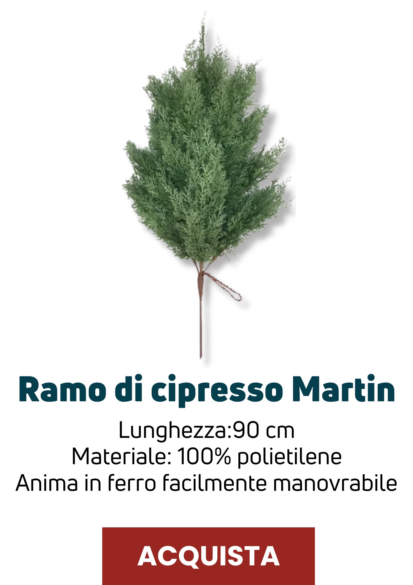 Ramo cipresso Martin | Perrone Shop
