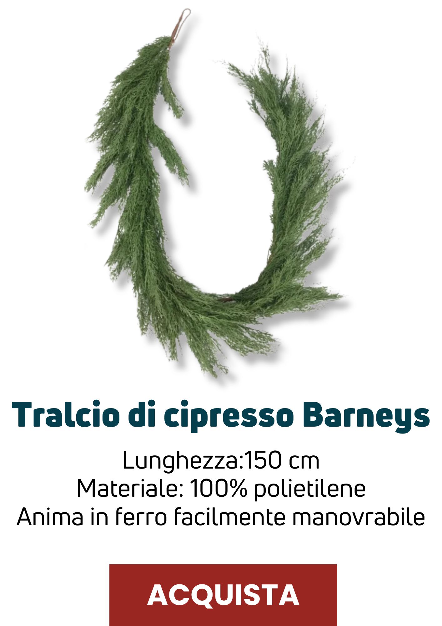 Tralcio cipresso Barneys | Perrone Shop
