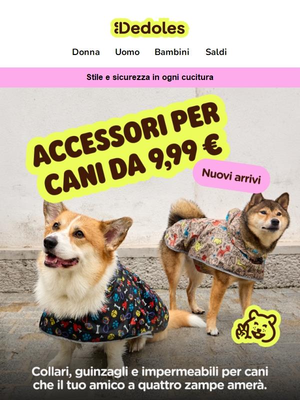Regala comfort e stile al tuo cane – a partire da soli 9,99 €! 🐾