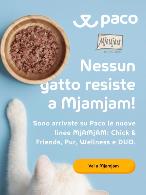 Nuove MjAMjAM su Paco in promo lancio ❤️