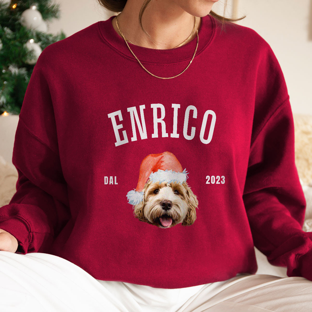 Image of Felpa Personalizzata con Animale domestico e Cappellino Natalizio