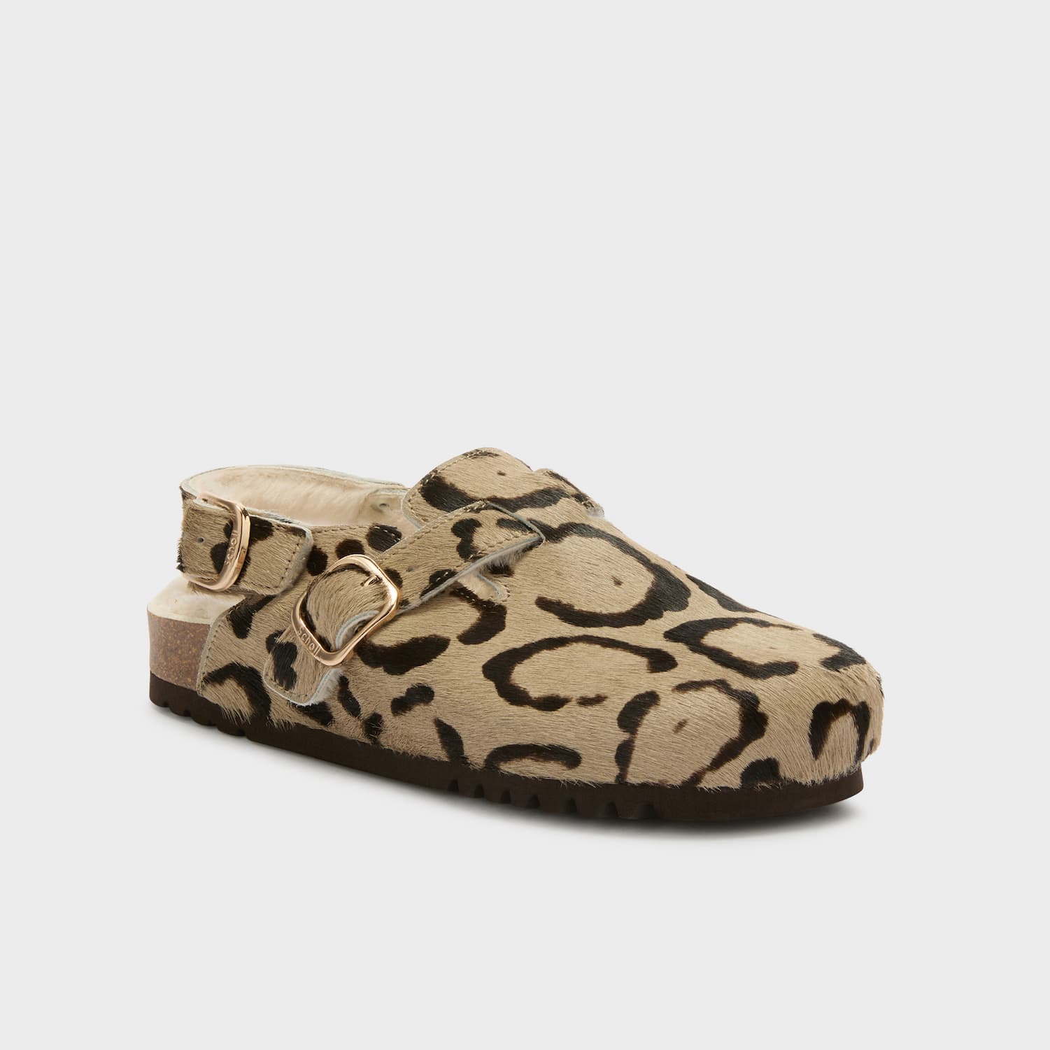 SCHOLL PESCURA