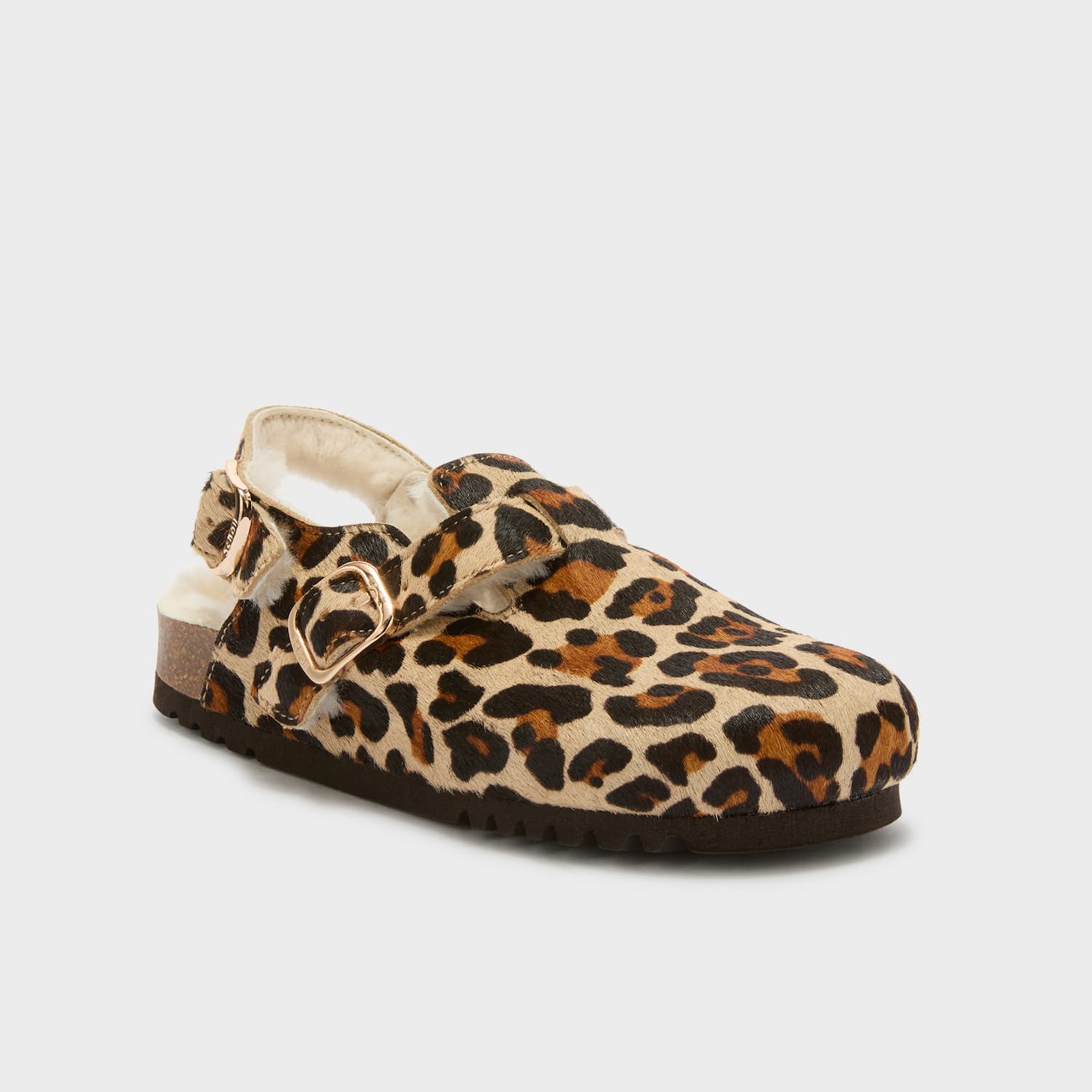 SCHOLL PESCURA