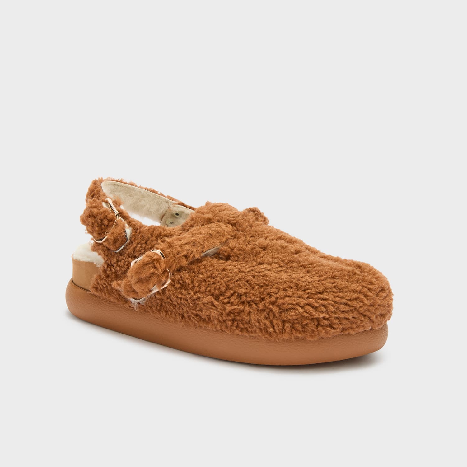 SCHOLL PESCURA