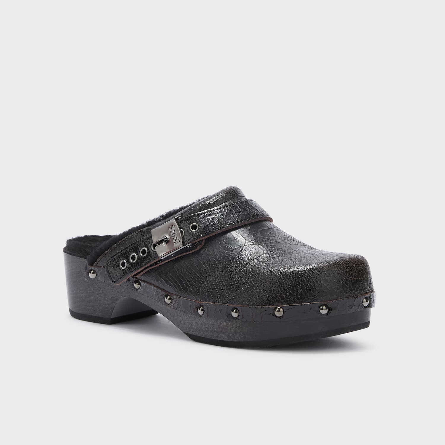 SCHOLL PESCURA