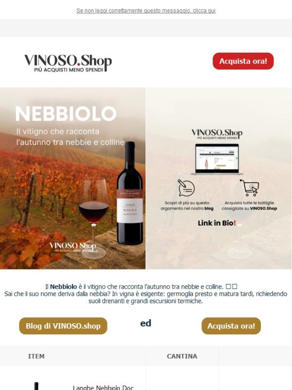 🍇🍂 Il Nebbiolo è il vitigno che racconta l’autunno | VINOSO