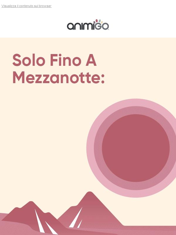 🐶 Oggi È L’Occasione: 30% Di Sconto Su Tutti I Prodotti