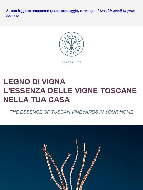 L'essenza delle vigne  🍇 Toscane nella tua casa