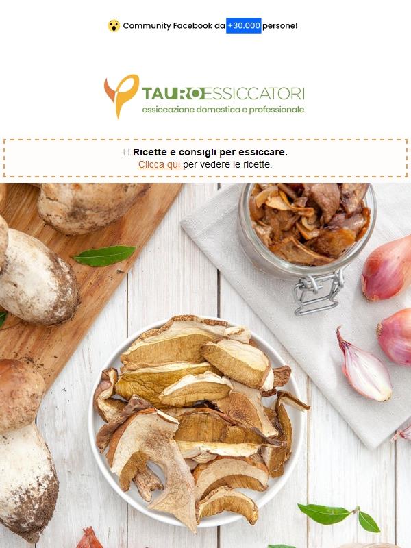 Info Funghi
