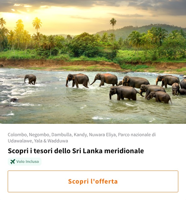 Scopri i tesori dello Sri Lanka meridionale