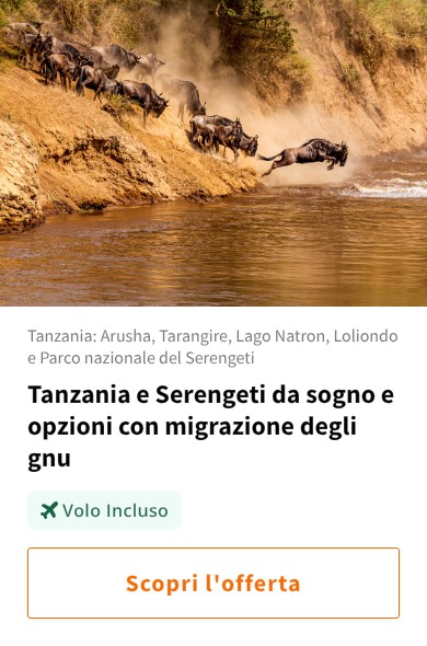 Tanzania e Serengeti da sogno e opzioni con migrazione degli gnu