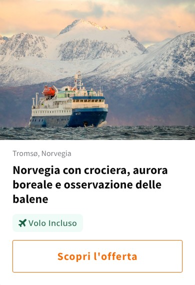 Norvegia con crociera, aurora boreale e osservazione delle balene