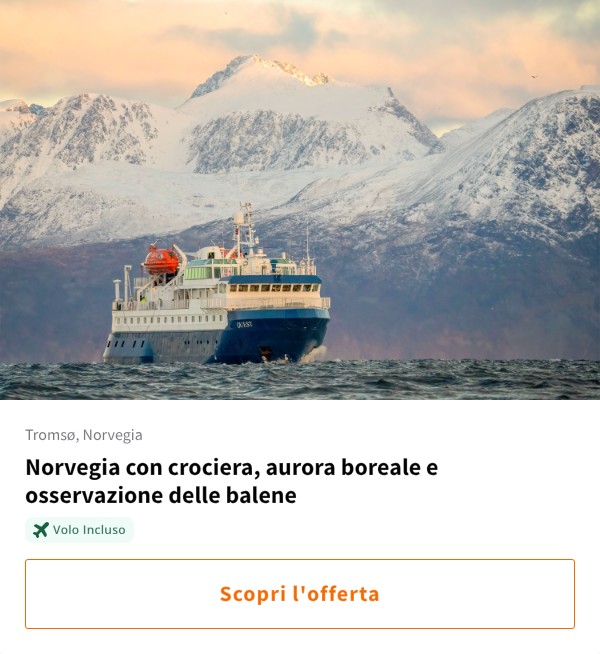Norvegia con crociera, aurora boreale e osservazione delle balene