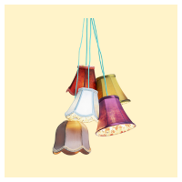 Lampada a sospensione_SaloonFlowers