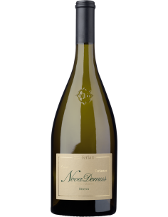 Image of Alto Adige Bianco Riserva DOC 'Nova Domus' 2021 (750 ml.) Terlan