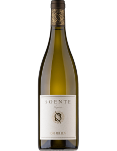 Image of Lazio IGP Viognier 'Soente' 2023 (750 ml.) Famiglia Cotarella