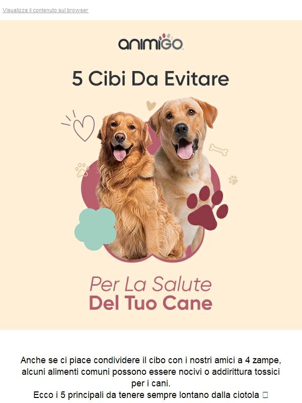🐾 Attenzione! Questi 5 Alimenti Possono Far Male Al Tuo Cane