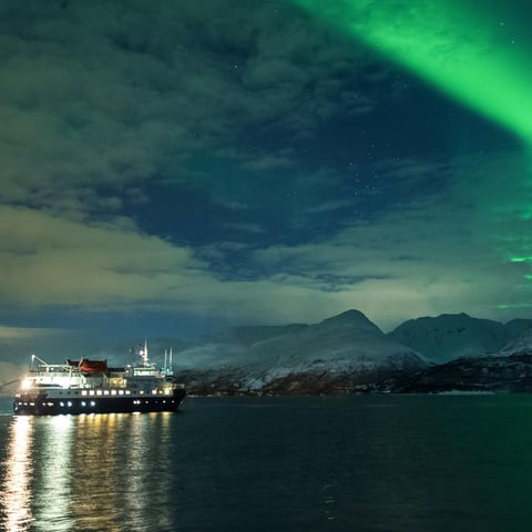 Activity image: Tromsø: 24 ore di crociera per avvistare le balene e l'aurora boreale