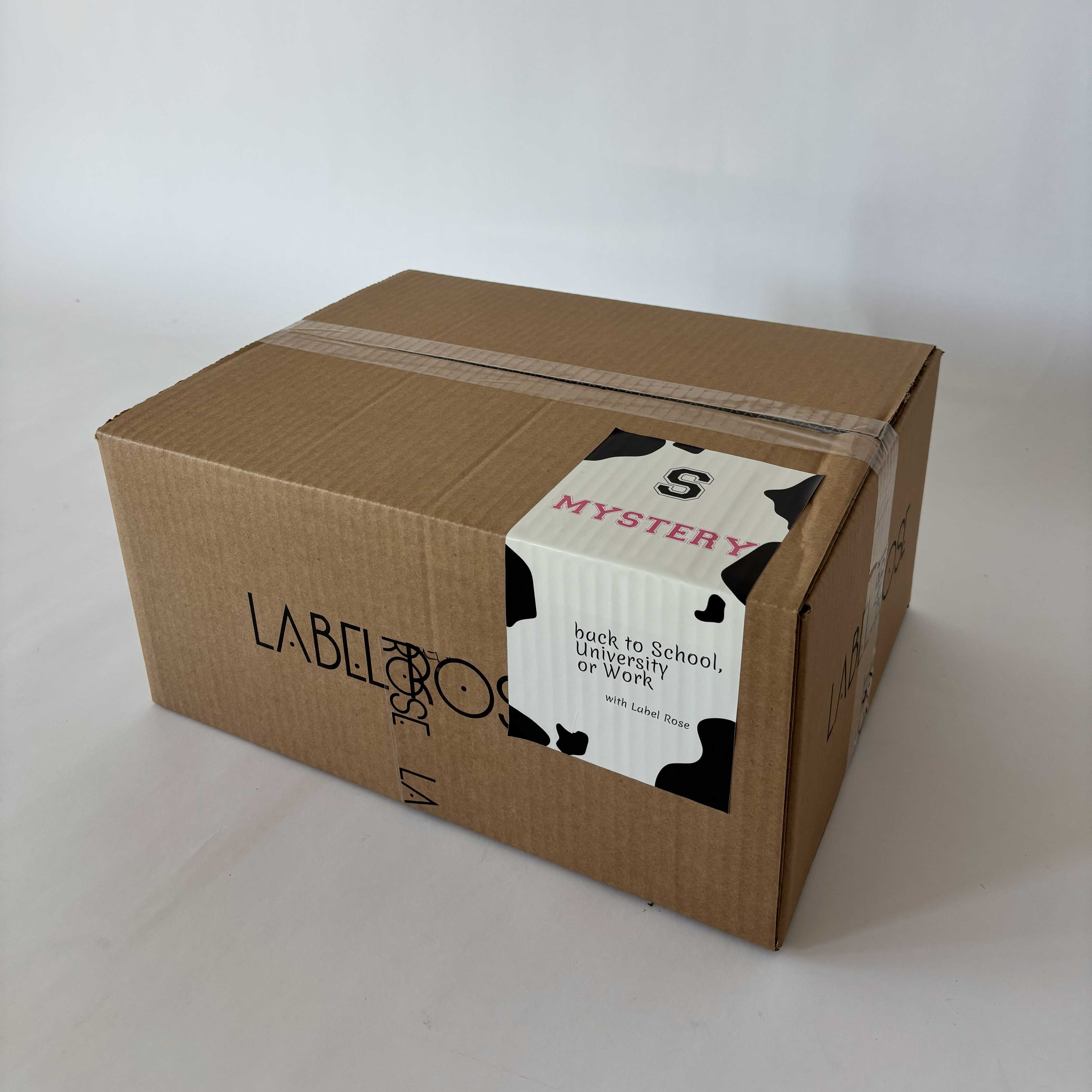 Image of MYSTERY BOX BACK TO SCHOOL BACK TO WORK - S