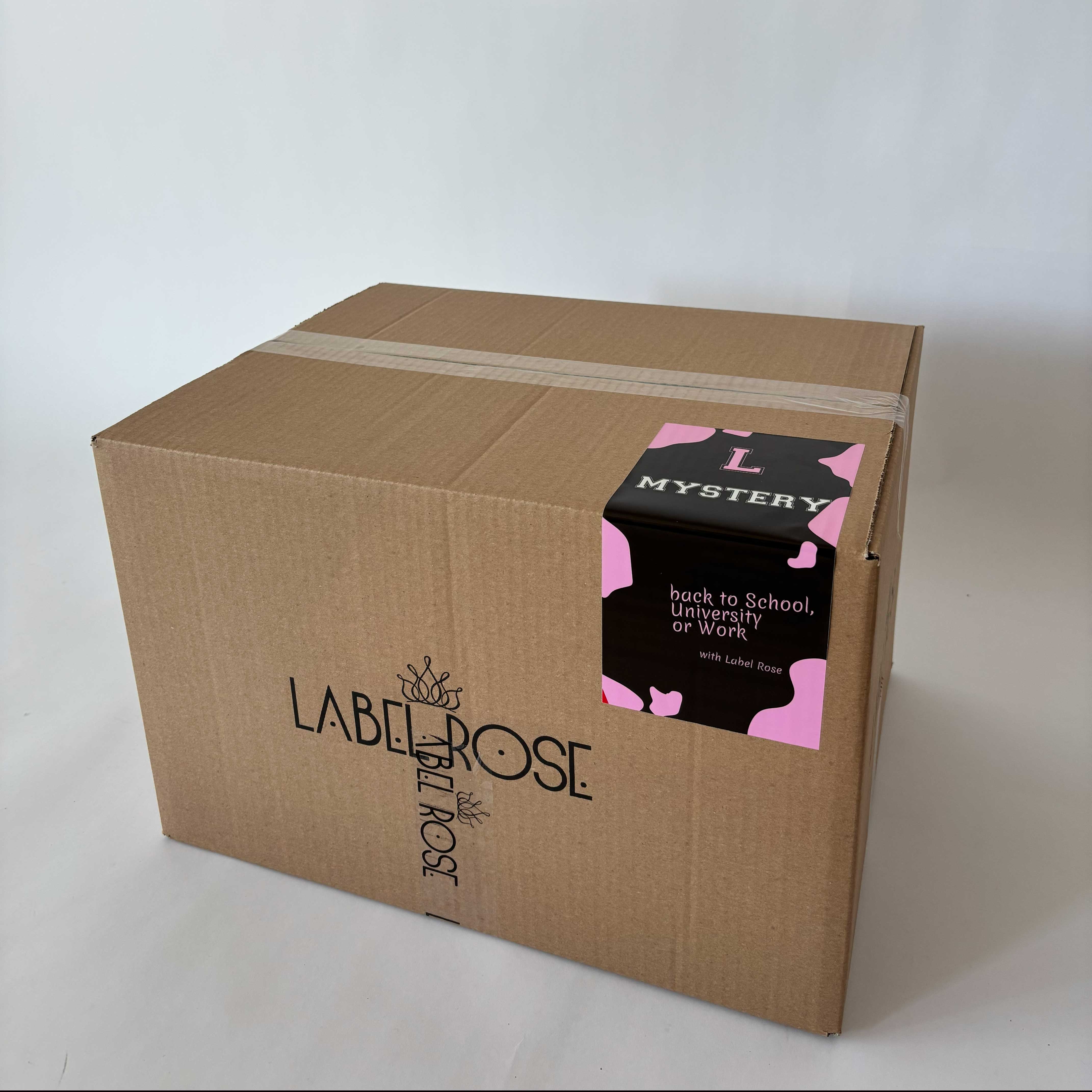 Image of MYSTERY BOX BACK TO SCHOOL BACK TO WORK - L