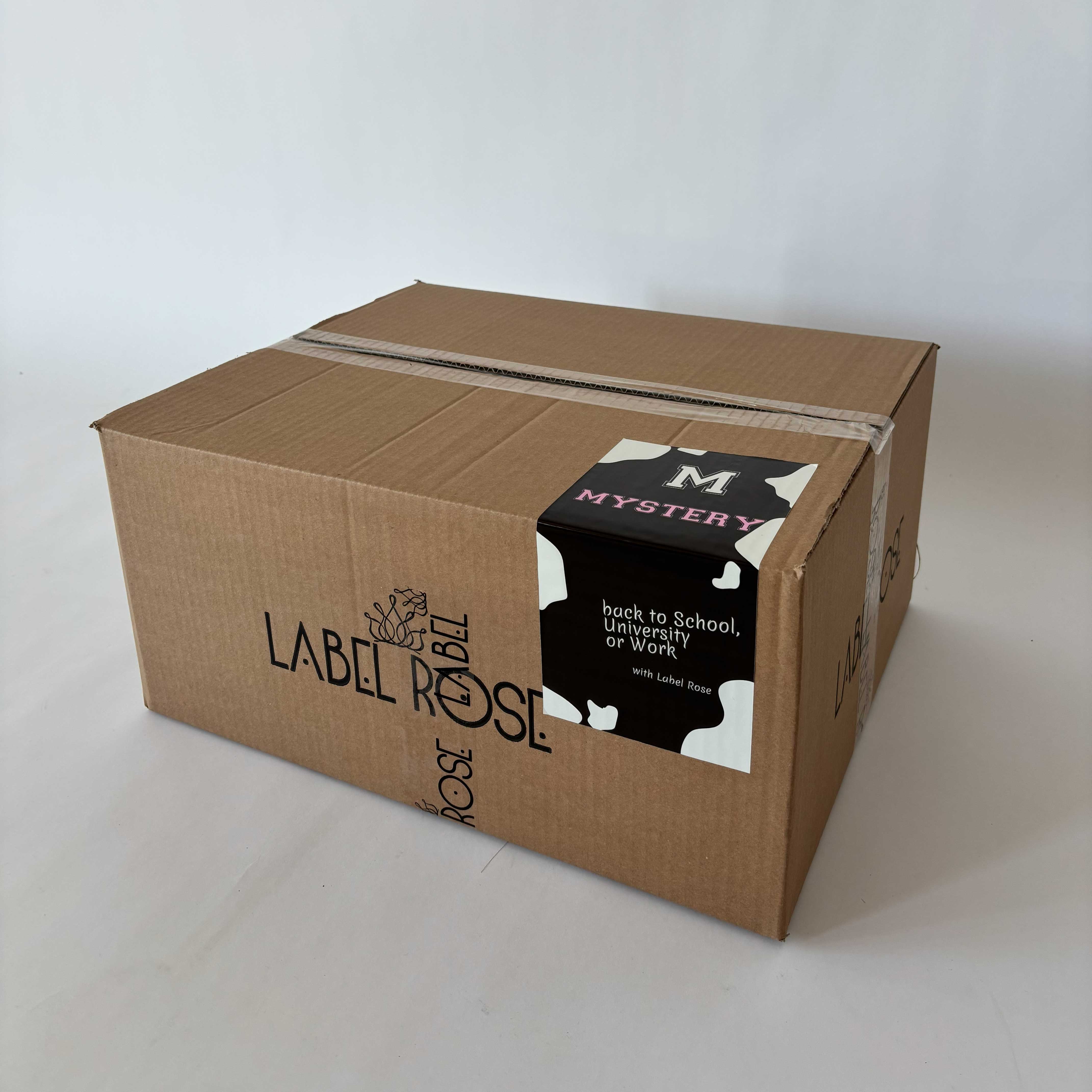 Image of MYSTERY BOX BACK TO SCHOOL BACK TO WORK - M
