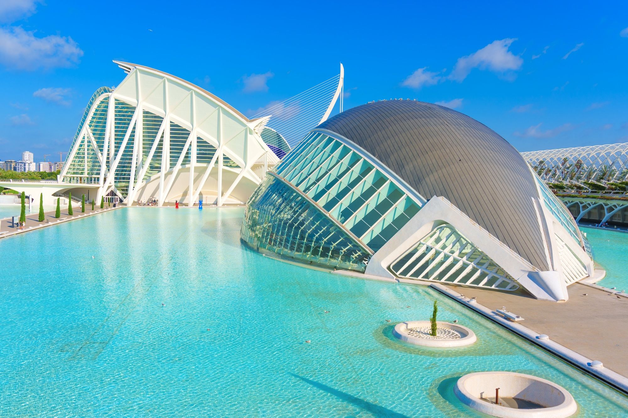 Una mini guida alla Ciudad de las Artes y las Ciencias di Valencia