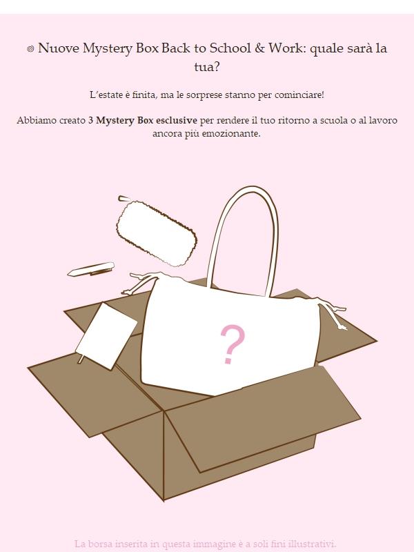 MYSTERY BOX BACK TO SCHOOL/WORK OUT NOW!