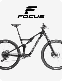 Focus