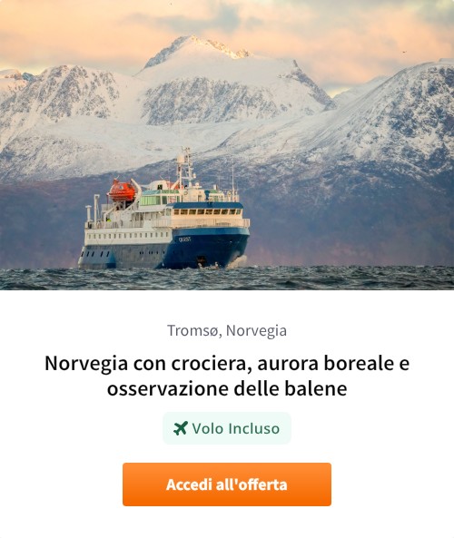 Norvegia con crociera, aurora boreale e osservazione delle balene