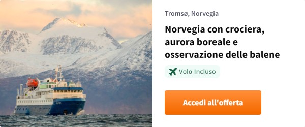 Norvegia con crociera, aurora boreale e osservazione delle balene
