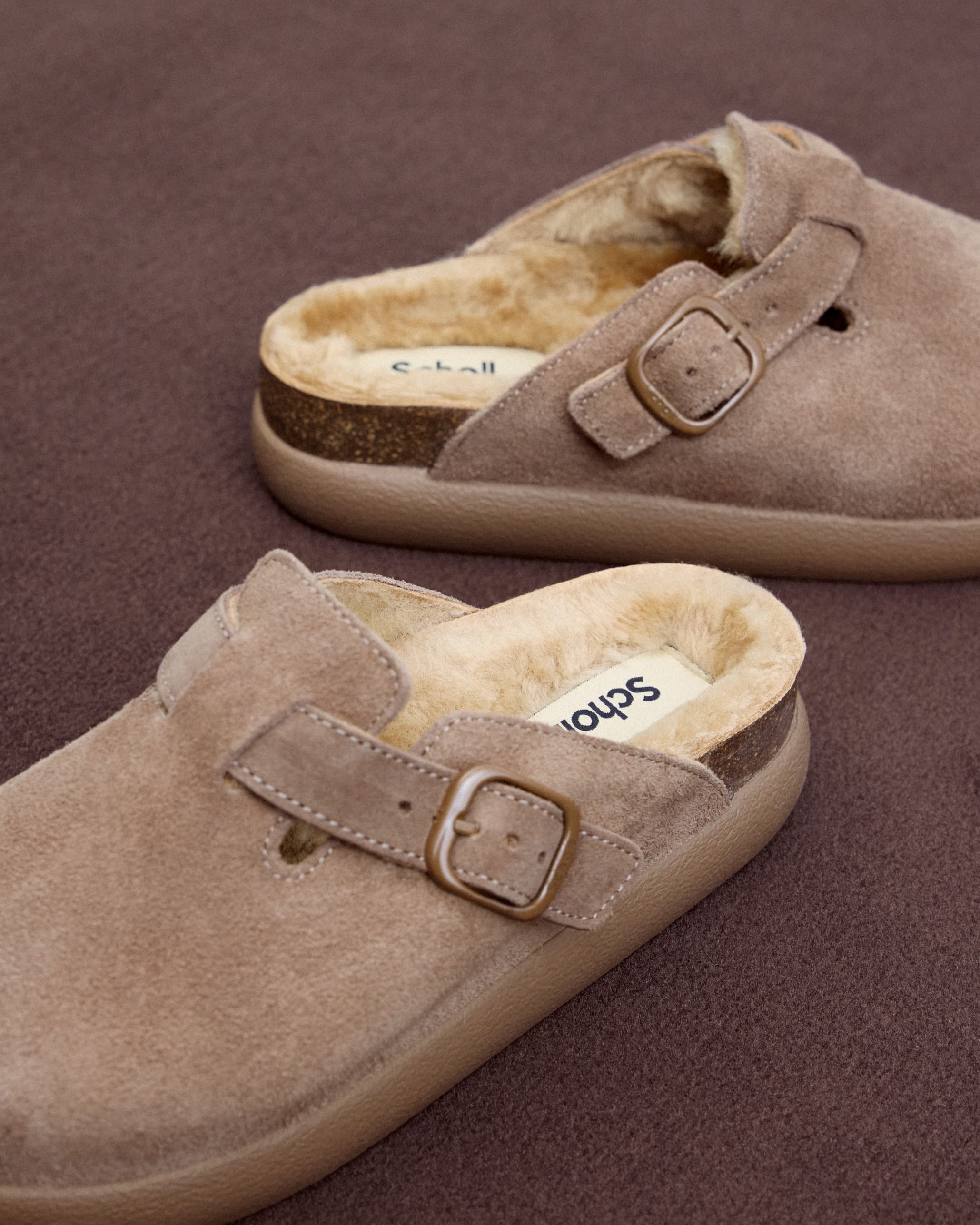 SCHOLL N21