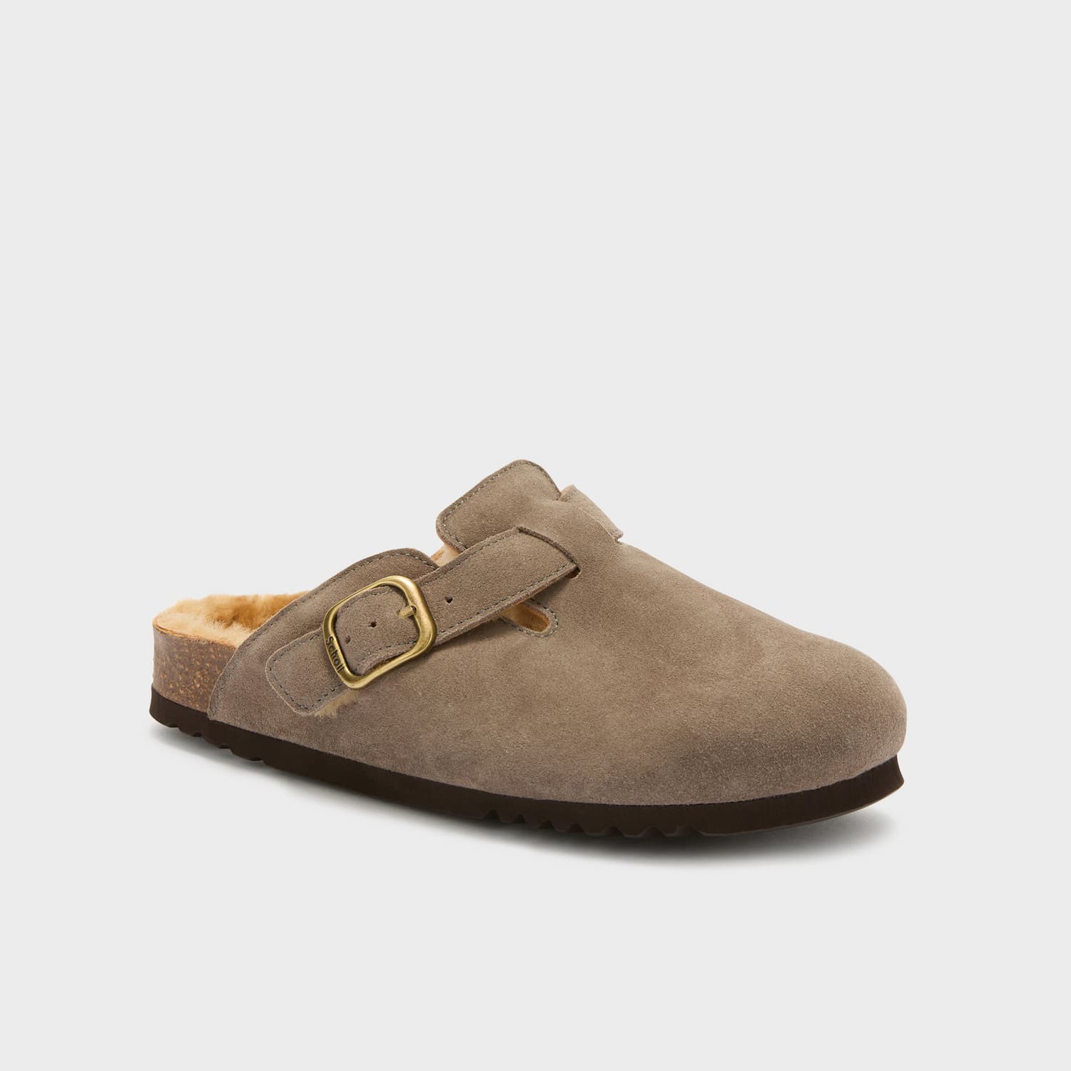 SCHOLL PESCURA