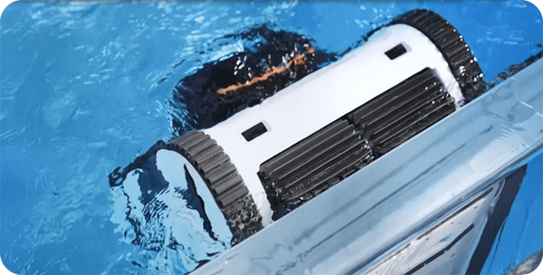 fairland che esce dall'acqua
