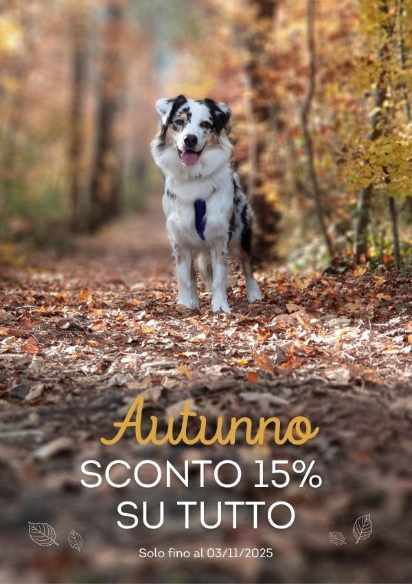 autumn 15